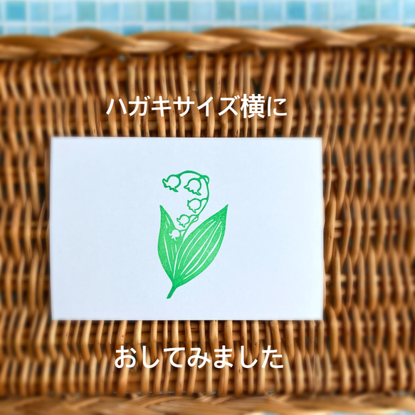  第7張的照片