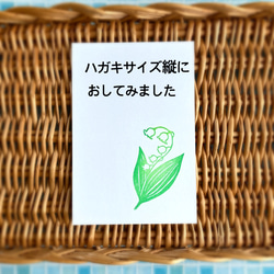  第6張的照片