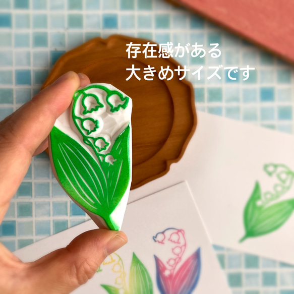  第5張的照片