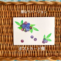  第7張的照片