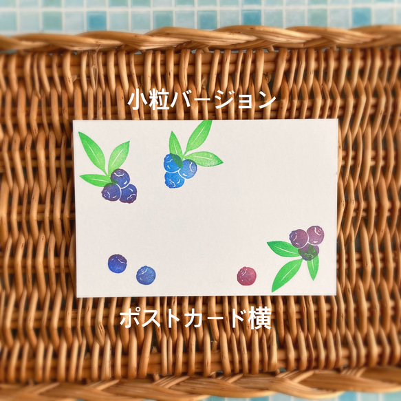  第9張的照片