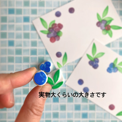  第5張的照片