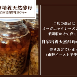 【国産小麦&自家培養酵母100％】酵母ベーグルお任せ10種 合計10個セット 18枚目の画像