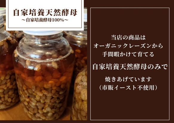 【国産小麦&自家培養酵母100％】酵母ベーグルお任せ10種 合計10個セット 18枚目の画像
