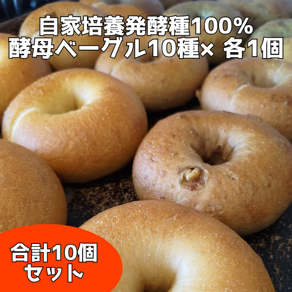 【国産小麦&自家培養酵母100％】酵母ベーグルお任せ10種 合計10個セット 1枚目の画像