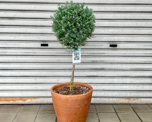 29a1701f61ba96d090091b3f1a19ee