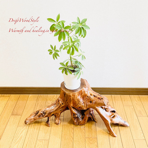 流木インテリア スツール フラワースタンド 一点物 椅子 ベンチ 流木板 N27 流木インテリア 舟板の流木を使用した一点物のベンチ 一点物 フラワー