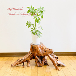 c7fcfdd4639e6abba210303ef2838f