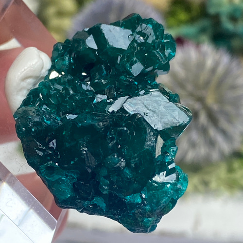 最高品質 ダイオプテーズ インクォーツ 鉱物 標本 原石 クォーツダイオプテーズコンゴ産鉱物標本原石