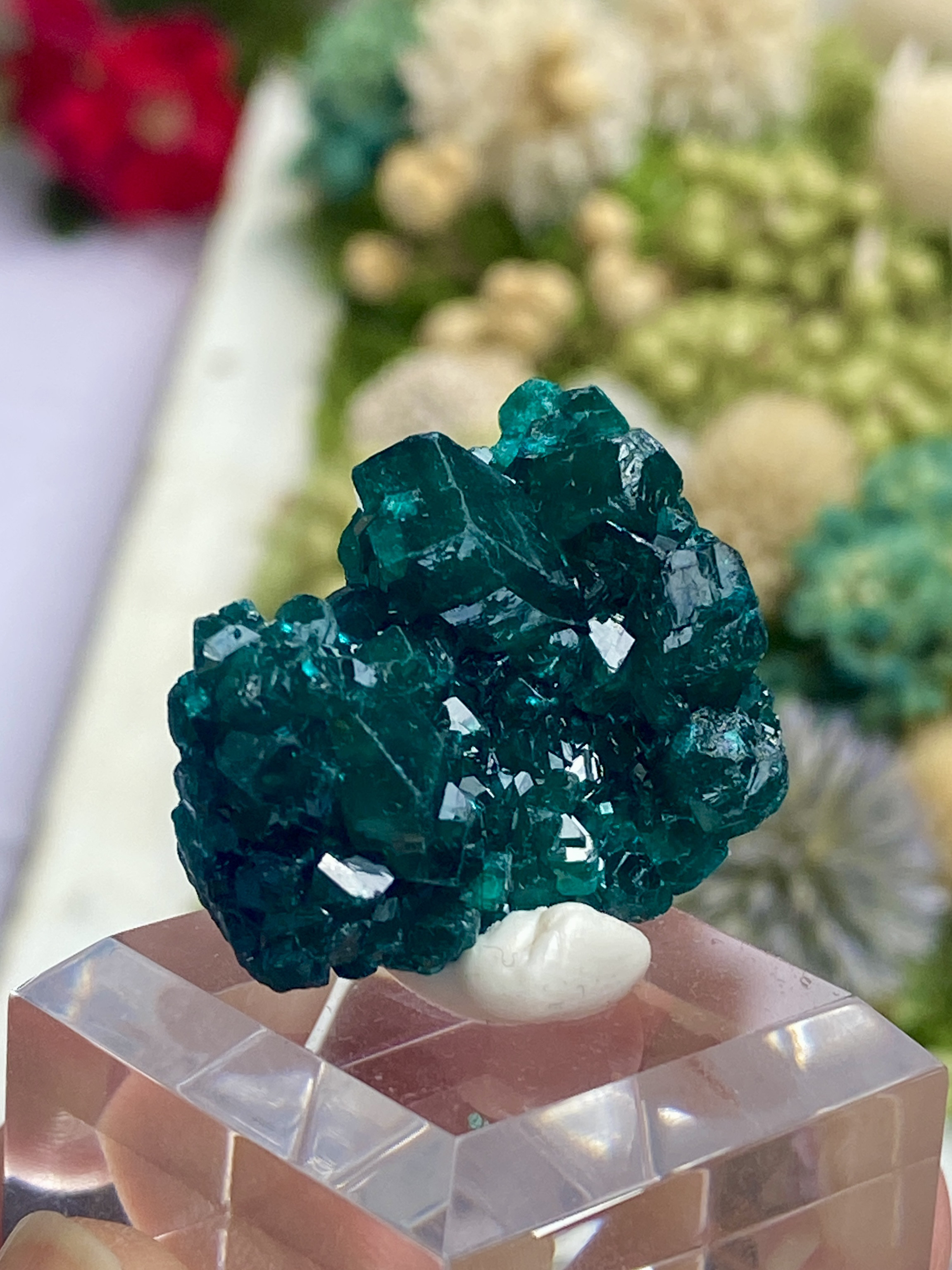 自然古生物学の標本マザーオブパール原石のホームジュエリーの装飾