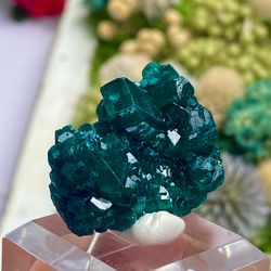 6e1f008a7e438cfeb2475bc8b2374b