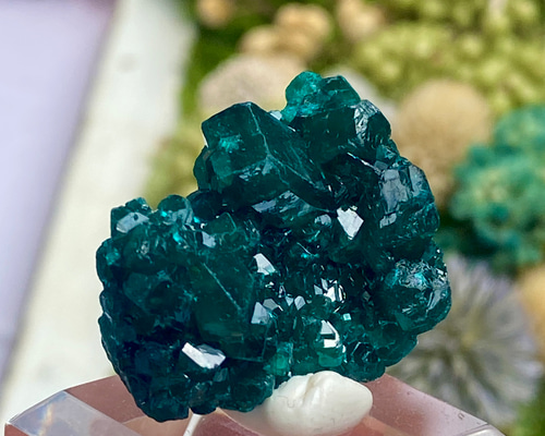 ダイオプテーズ ウィレマイト 共生 F13 鉱物 標本 原石 81QU4PfZOSL._UF350,350_QL50_.jpg