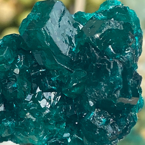 トップグレード♢ダイオプテーズ 鉱物標本 原石 10 天然石 天然色