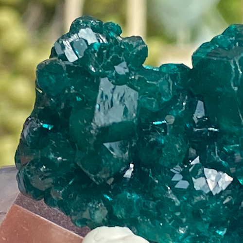 ダイオプテーズ A6 鉱物 標本 原石 ダイオプテーズ / 原石 標本