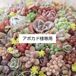 オーダー鉢】 リメイク鉢 小さめ メッセージ & 名入れ 一輪挿し・花瓶