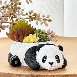リメ缶・リメイク缶☆VWバック缶 1個（リメ缶・リメ鉢） 多肉植物 mt