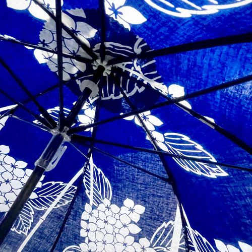 浴衣から生まれた日傘 紫陽花の まだととのはぬうてなに 花の紫