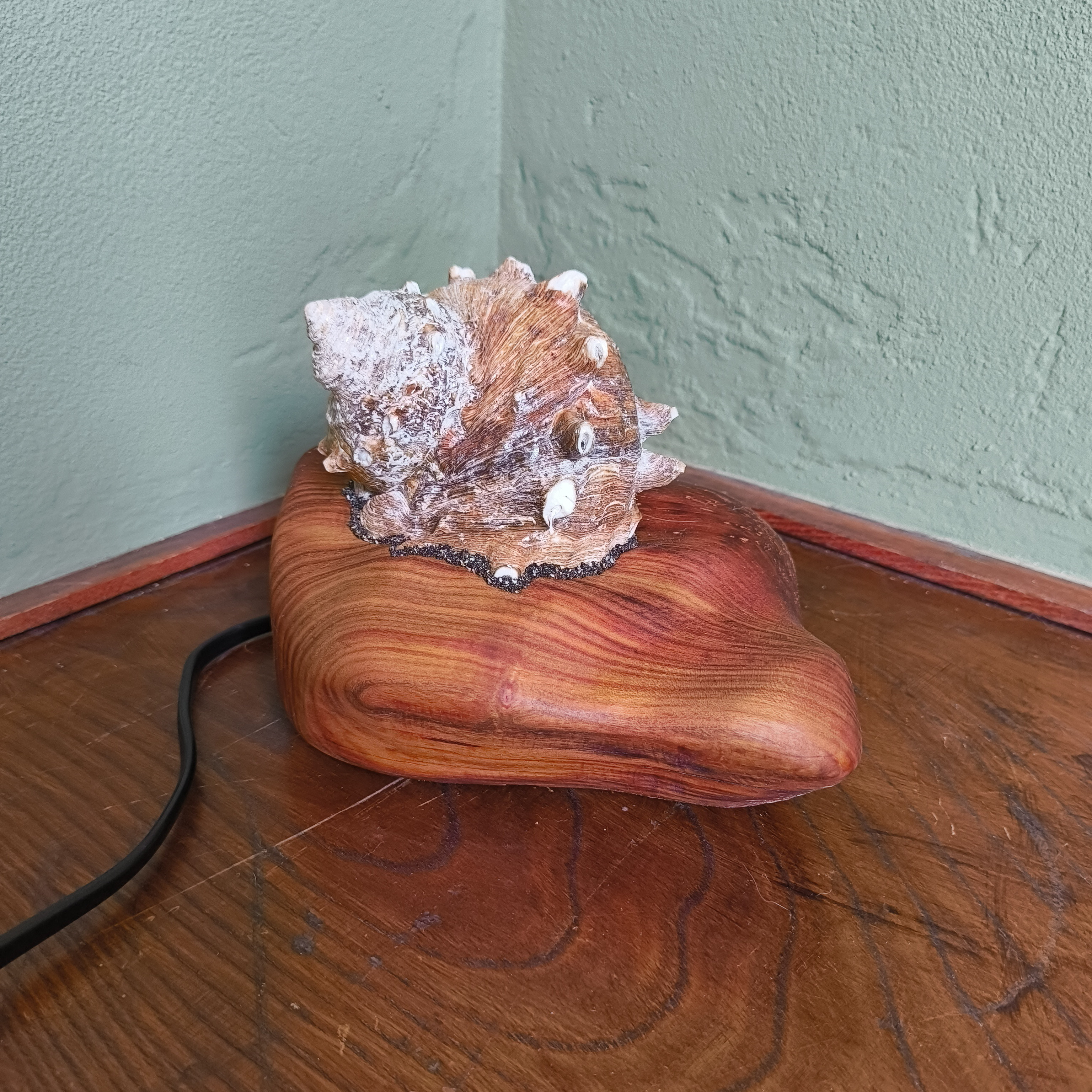 貝殻ランプ　ナイトランプ　ビーチの雰囲気