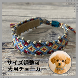 トリミング チョーカー 108本② Amazon | ペットトリミングリボン チョーカー アソート 100個 犬