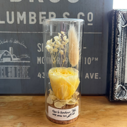 ☆送料無料☆♡そのまま飾れる♡ブリキ缶♬ハロウィンの多肉植物