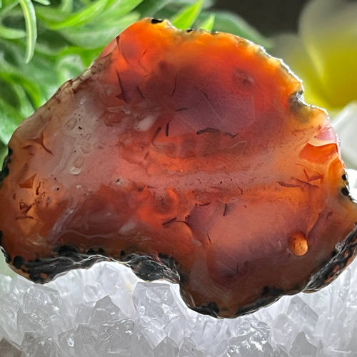 焔✧ グラフィカル レッドアゲート スライス 穴開き プレート 瑪瑙