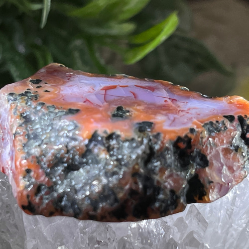 焔✧ グラフィカル レッドアゲート スライス 穴開き プレート 瑪瑙