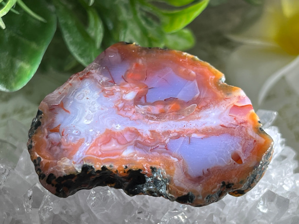 焔✧ グラフィカル レッドアゲート スライス 穴開き プレート 瑪瑙