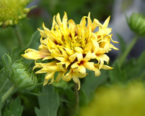 7db4d28641b05d9cde04800eb59e6d