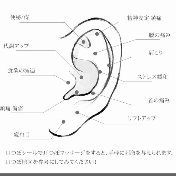 選べる　耳ツボジュエリー　20粒 5枚目の画像
