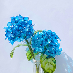 牡丹【花競⠀】大輪のピンクの代表花千重ね咲き見る角度により