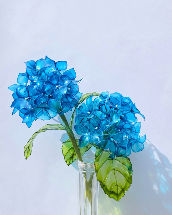 梅雨の美2026】光を透す紫陽花 / 誕生日・ギフト・インテリア