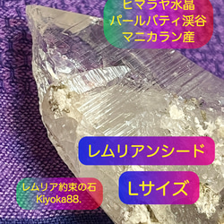 レムリアンシード【約束の石】ヒマラヤ水晶【浄化＆癒し＆願望実現】L