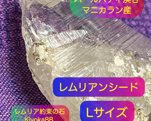 【神々の山からの贈り物】天然石 ヒマラヤ水晶 レムリアンシード 原石 レムリアンシード【約束の石】ヒマラヤ水晶【浄化＆癒し＆願望実現】L