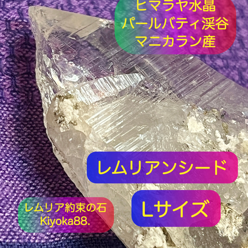レムリアン　ヒマラヤ水晶　原石　レムリアンシード天然石　特大1194g　最強浄化 水晶 浄化 集中力 ヒーリング 導き 成功
