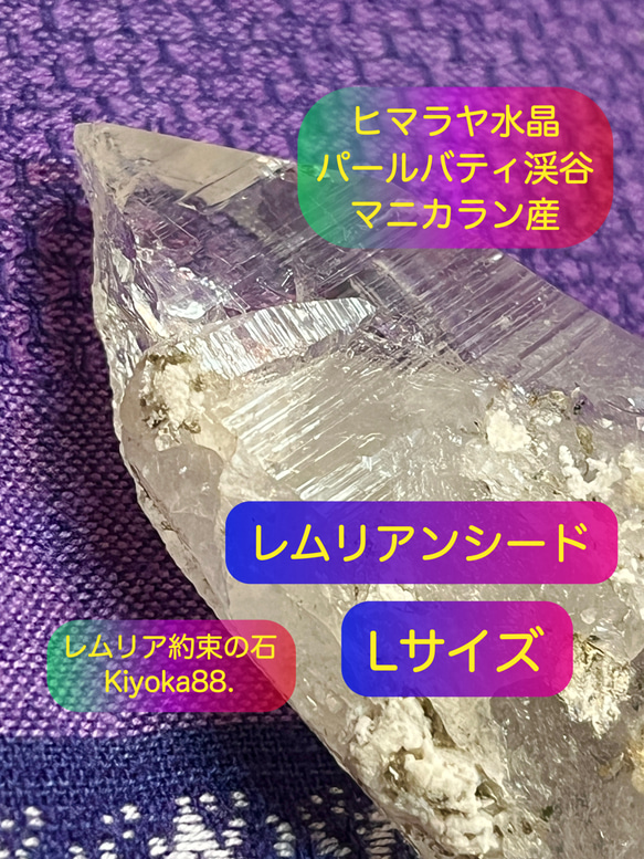 レムリアンシード【約束の石】ヒマラヤ水晶【浄化＆癒し＆願望実現】L
