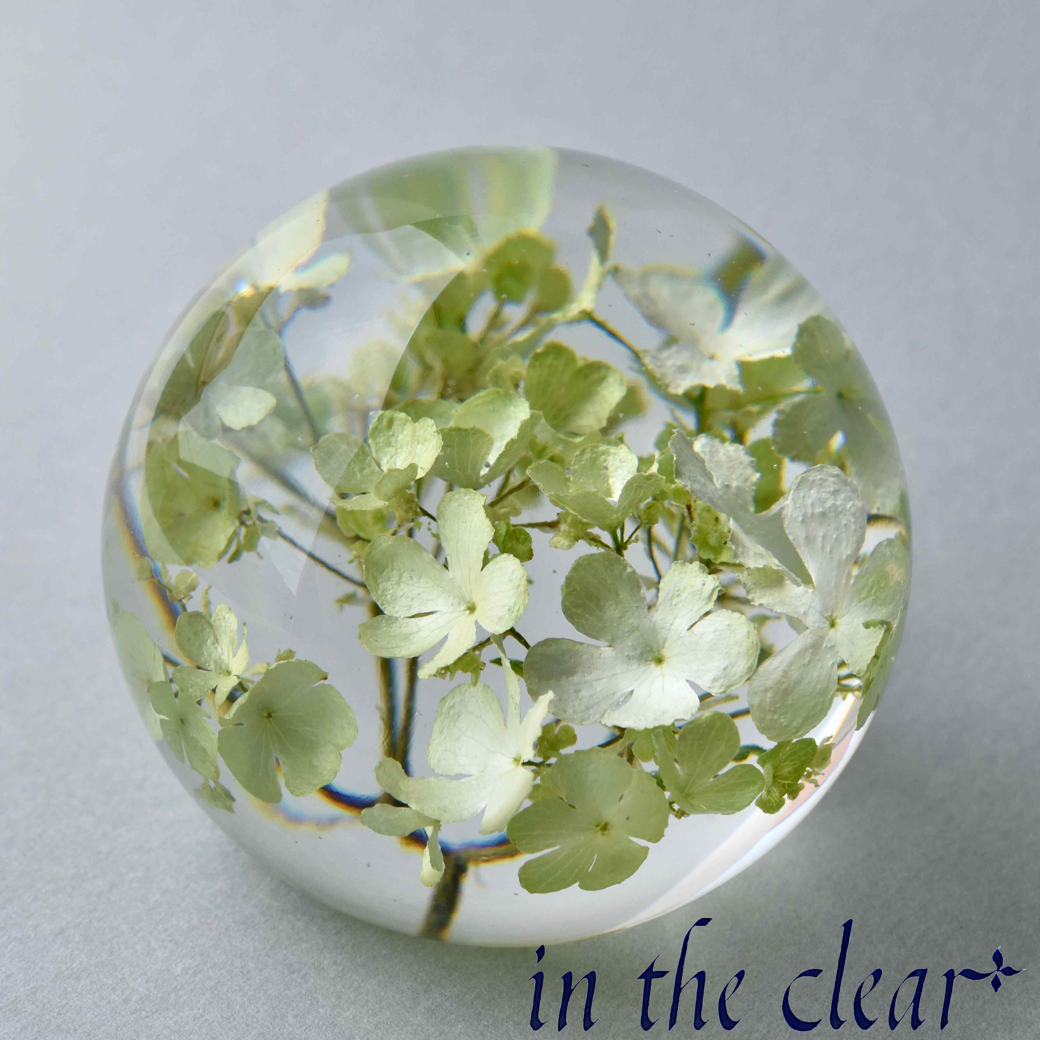 植物標本　ビバーナム　スノーボール　薄緑色　レジン　６センチ球体