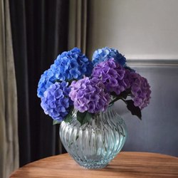 現品♡絶滅種♡ヒメオニソテツ♡ エンセファラルトス ホリダス