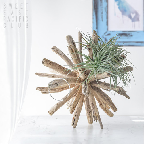 綺麗な球形の流木ボールのオブジェ（Φ30cm） 立体・オブジェ