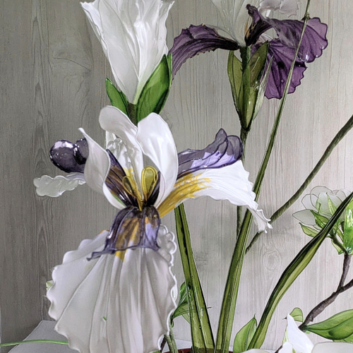 ◇ジャーマンアイリスとアヤメにクチナシの和アレンジ◇ アメリカン