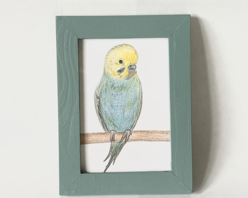インコの色鉛筆画》癒しのひととき 絵画 ちびごま 通販 19398043