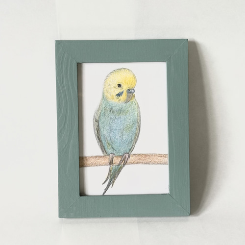 インコの色鉛筆画》癒しのひととき 絵画 ちびごま 通販 19398043
