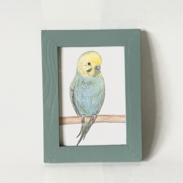 インコの色鉛筆画》癒しのひととき 絵画 ちびごま 通販 19398043