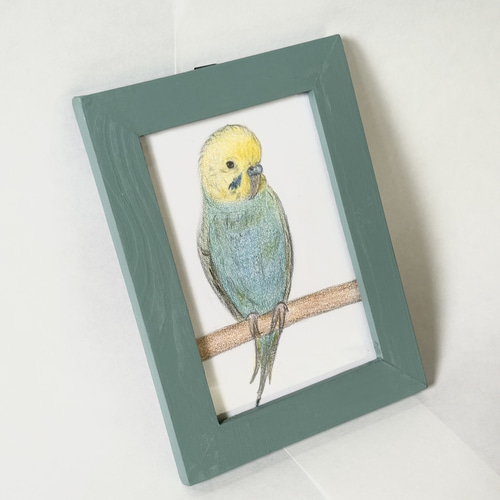インコの色鉛筆画》癒しのひととき 絵画 ちびごま 通販 19398043