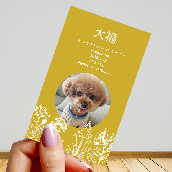 【受注後制作】フォント・背景色を選べる ペット名刺 『両面版』 50枚 ホワイトラインフラワー 7枚目の画像