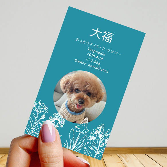 【受注後制作】フォント・背景色を選べる ペット名刺 『両面版』 50枚 ホワイトラインフラワー 3枚目の画像
