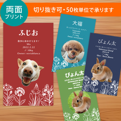 【受注後制作】フォント・背景色を選べる ペット名刺 『両面版』 50枚 ホワイトラインフラワー 1枚目の画像