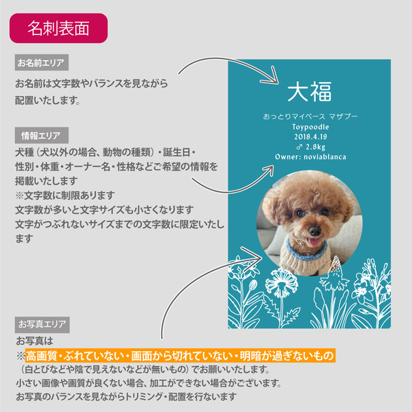 【受注後制作】フォント・背景色を選べる ペット名刺 『両面版』 50枚 ホワイトラインフラワー 16枚目の画像