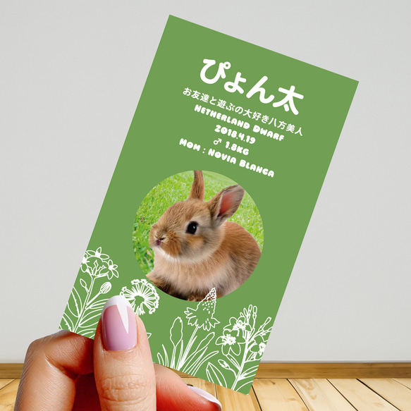 【受注後制作】フォント・背景色を選べる ペット名刺 『両面版』 50枚 ホワイトラインフラワー 5枚目の画像