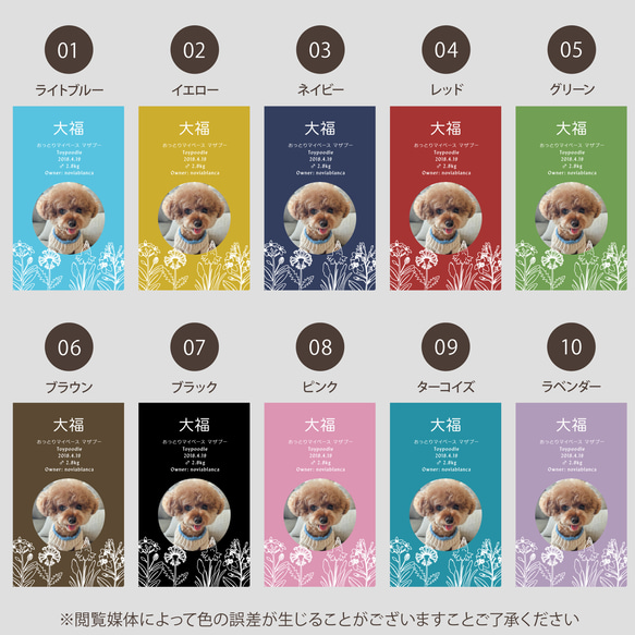 【受注後制作】フォント・背景色を選べる ペット名刺 『両面版』 50枚 ホワイトラインフラワー 13枚目の画像