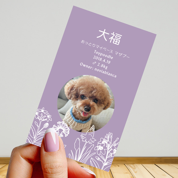 【受注後制作】フォント・背景色を選べる ペット名刺 『両面版』 50枚 ホワイトラインフラワー 11枚目の画像